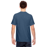 Comfort Colors Adult Heavyweight T-Shirt